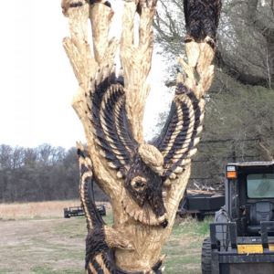 Eagles