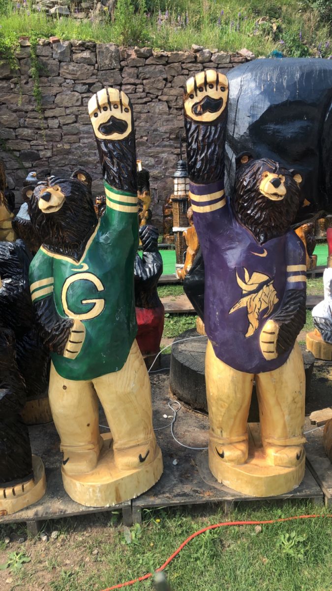 Viking and Packer jersey Bears