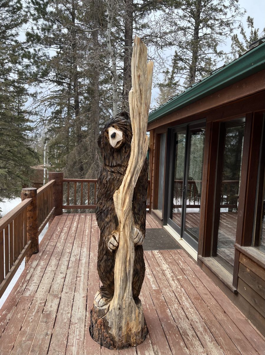 Bear and tree