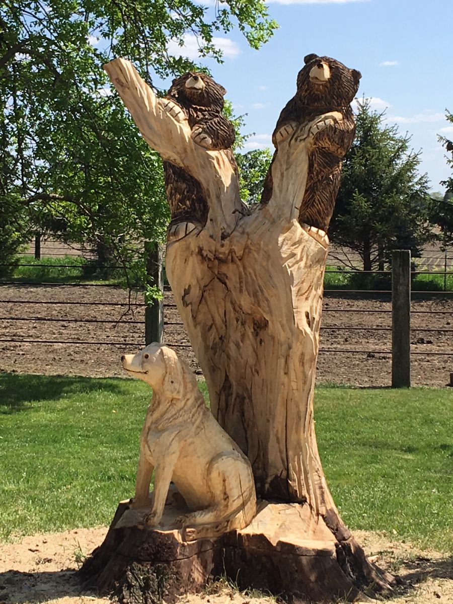 Bears and Dog Onsite