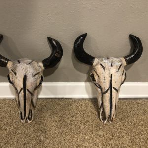 Bull Skulls