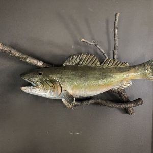Hanging Fish Sculpture