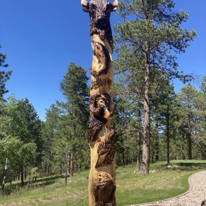 Totum Pole Onsite