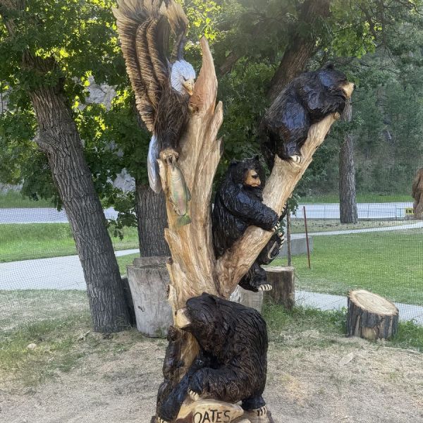 Bears with Eagle